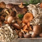 10 Signs Mushroom Views Are Magically Changing