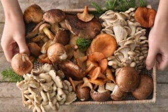 10 Signs Mushroom Views Are Magically Changing