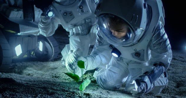 Space Food: 10 Wild Ways to Grow Food Beyond Earth