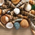 10 Everyday Habits Harming Our Planet's Ecosystems