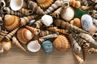 10 Everyday Habits Harming Our Planet's Ecosystems