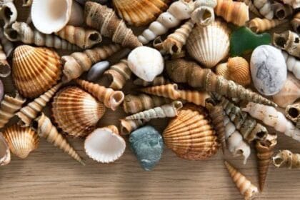 10 Everyday Habits Harming Our Planet's Ecosystems