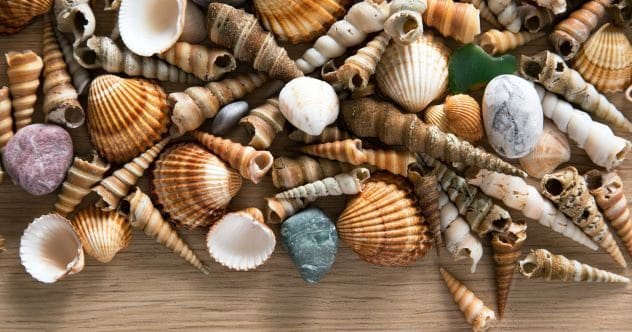 10 Everyday Habits Harming Our Planet's Ecosystems