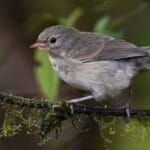 10 Famous Quotes You've Probably Gotten Wrong