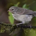 10 Famous Quotes You've Probably Gotten Wrong