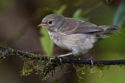 10 Famous Quotes You've Probably Gotten Wrong