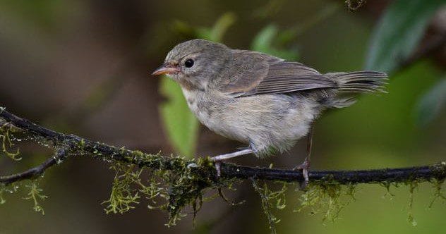 10 Famous Quotes You've Probably Gotten Wrong