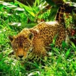 Sound Solutions: 10 Problems Solved with Acoustics