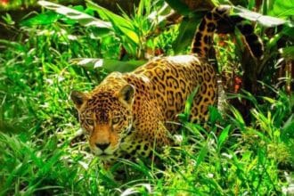 Sound Solutions: 10 Problems Solved with Acoustics