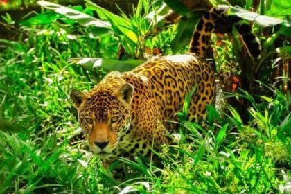 Sound Solutions: 10 Problems Solved with Acoustics