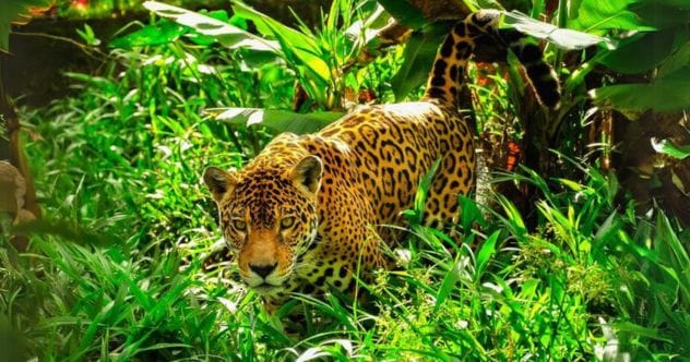 Sound Solutions: 10 Problems Solved with Acoustics