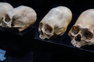 Fossil Anomalies: 10 Finds That Baffled Scientists