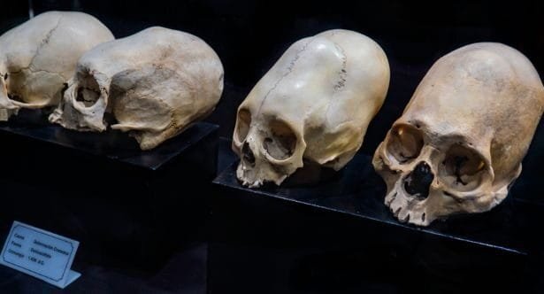 Fossil Anomalies: 10 Finds That Baffled Scientists
