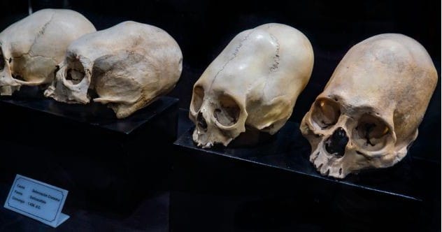 Fossil Anomalies: 10 Finds That Baffled Scientists