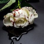 10 Shocking Mother's Day Murders by Their Own Children