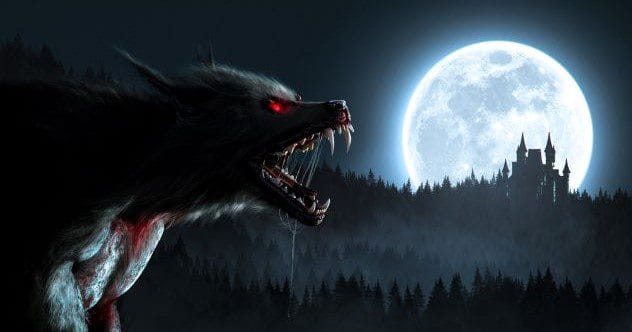 10 Eerie Cryptids You've Probably Never Heard Of