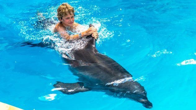 A dolphin and a boy swimming together