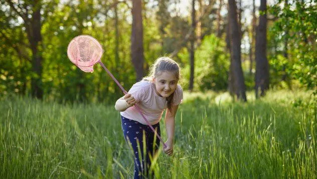 Butterflies near Everglades