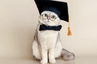 10 Animals Hilariously Earning Human Credentials