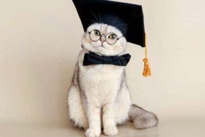 10 Animals Hilariously Earning Human Credentials