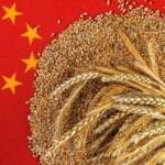 China's Great Famine: 10 Gruesome Realities Revealed