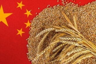 China's Great Famine: 10 Gruesome Realities Revealed