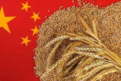 China's Great Famine: 10 Gruesome Realities Revealed