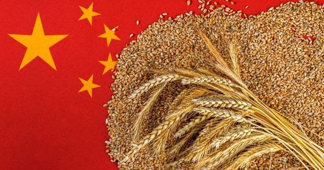 China's Great Famine: 10 Gruesome Realities Revealed