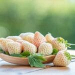 10 Jaw-Droppingly Expensive Fruits You Won't Believe