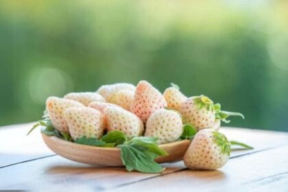 10 Jaw-Droppingly Expensive Fruits You Won't Believe