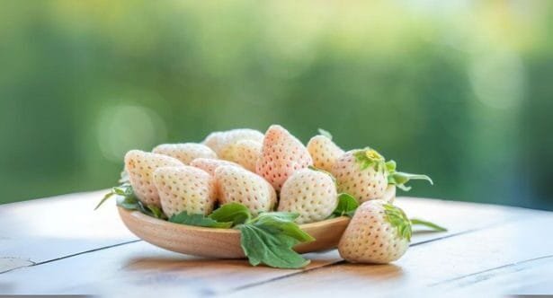 10 Jaw-Droppingly Expensive Fruits You Won't Believe