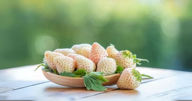 10 Jaw-Droppingly Expensive Fruits You Won't Believe