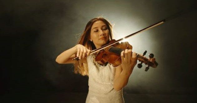 Tree Rings: 10+ Amazing Secrets They Unearthed!