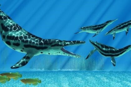 Recent Amazing Discoveries That Changed Our World