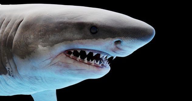 Nature's Genius: 10 Inventions Before Humans!