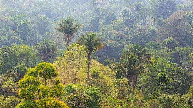 Frederick Hahneman: The Honduran Hideout