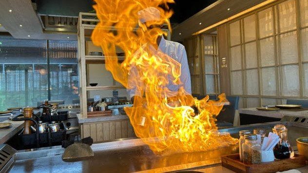 birthday dinner on fire