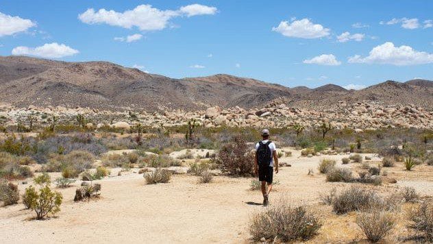 Man hiking in desert