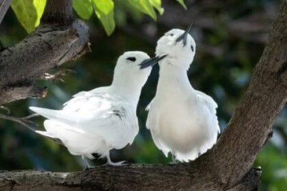 3D Printing: 10 Mind-Blowing Advances You Won’t Believe