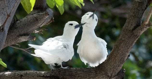 3D Printing: 10 Mind-Blowing Advances You Won’t Believe