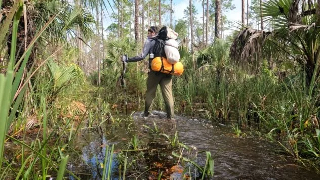 Everglades camping