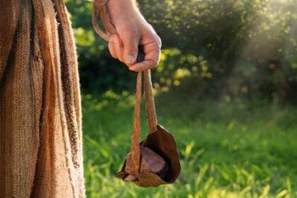 Real Life Davids: 10 Underdog Success Stories