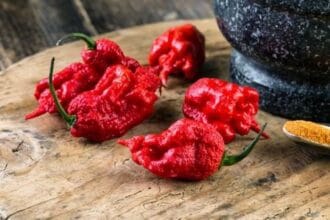 10 Hilarious Cases of Names Matching Destiny!