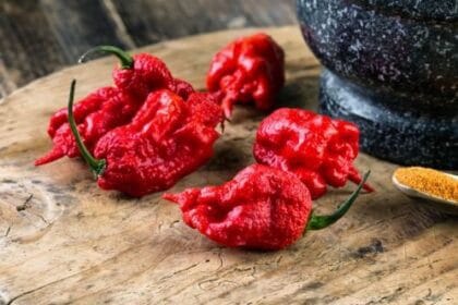 10 Hilarious Cases of Names Matching Destiny!