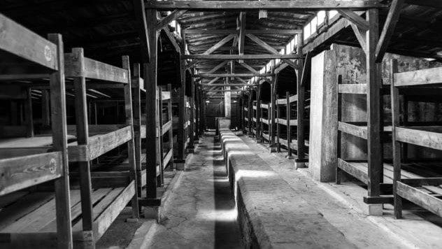 Auschwitz chess pieces