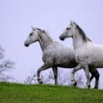 Untold Stories: 10 Incredible US National Archive Gems