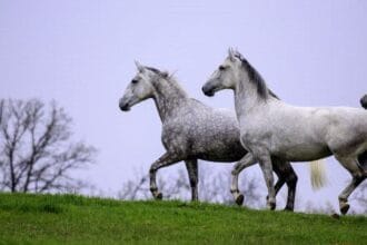 Untold Stories: 10 Incredible US National Archive Gems