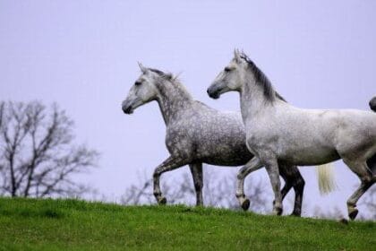 Untold Stories: 10 Incredible US National Archive Gems