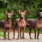 10 Surprising Facts You Didn't Know About Mexico