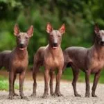 10 Surprising Facts You Didn't Know About Mexico
